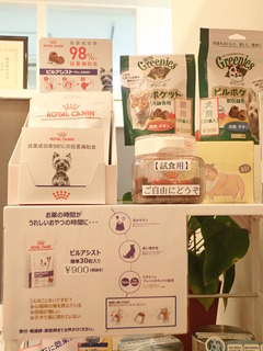 P9300007.JPG