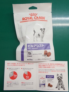 P9300008.JPG