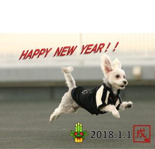 happynewyear2.png